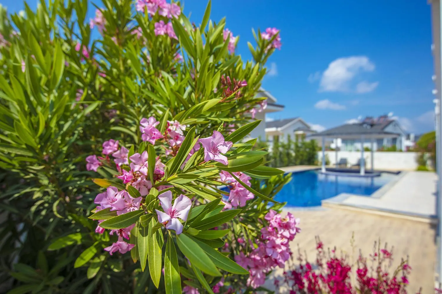 Orka World Villa 1 Ölüdeniz 0*,  Tyrkiet